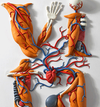 D607f schermata2012 11 07alle18 04 29