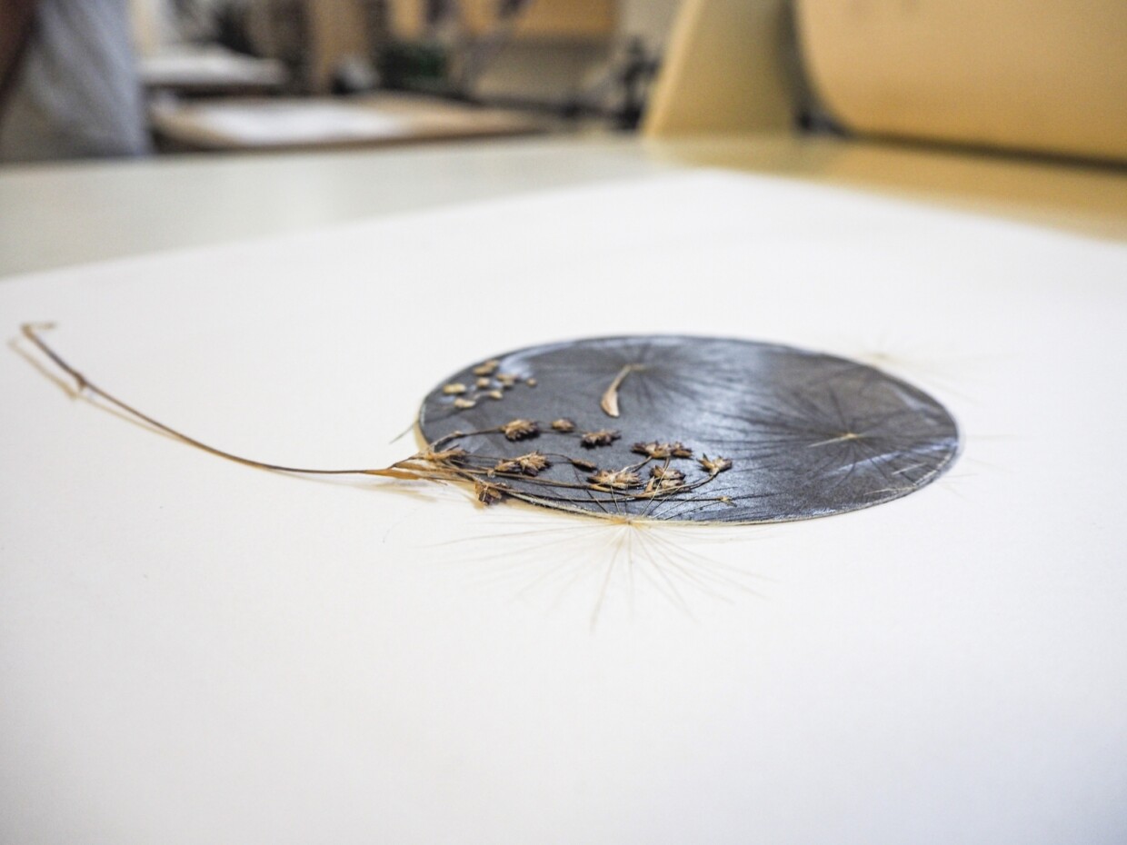 Post fatta192 1536x1152