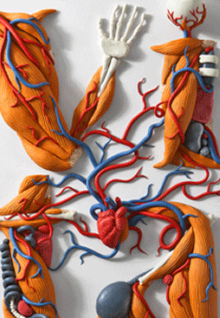 D607f schermata2012 11 07alle18 04 29