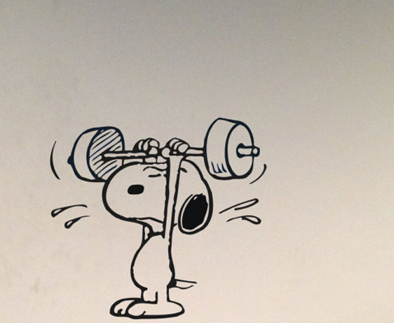 Colpatuameritomio blog